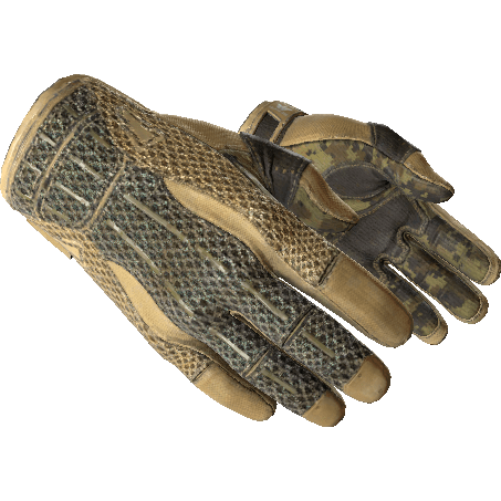 Sport Gloves | Arid (Well-Worn)